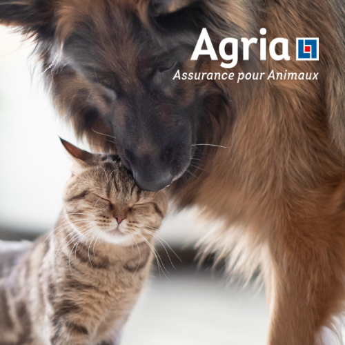 Protégez votre animal avec Agria