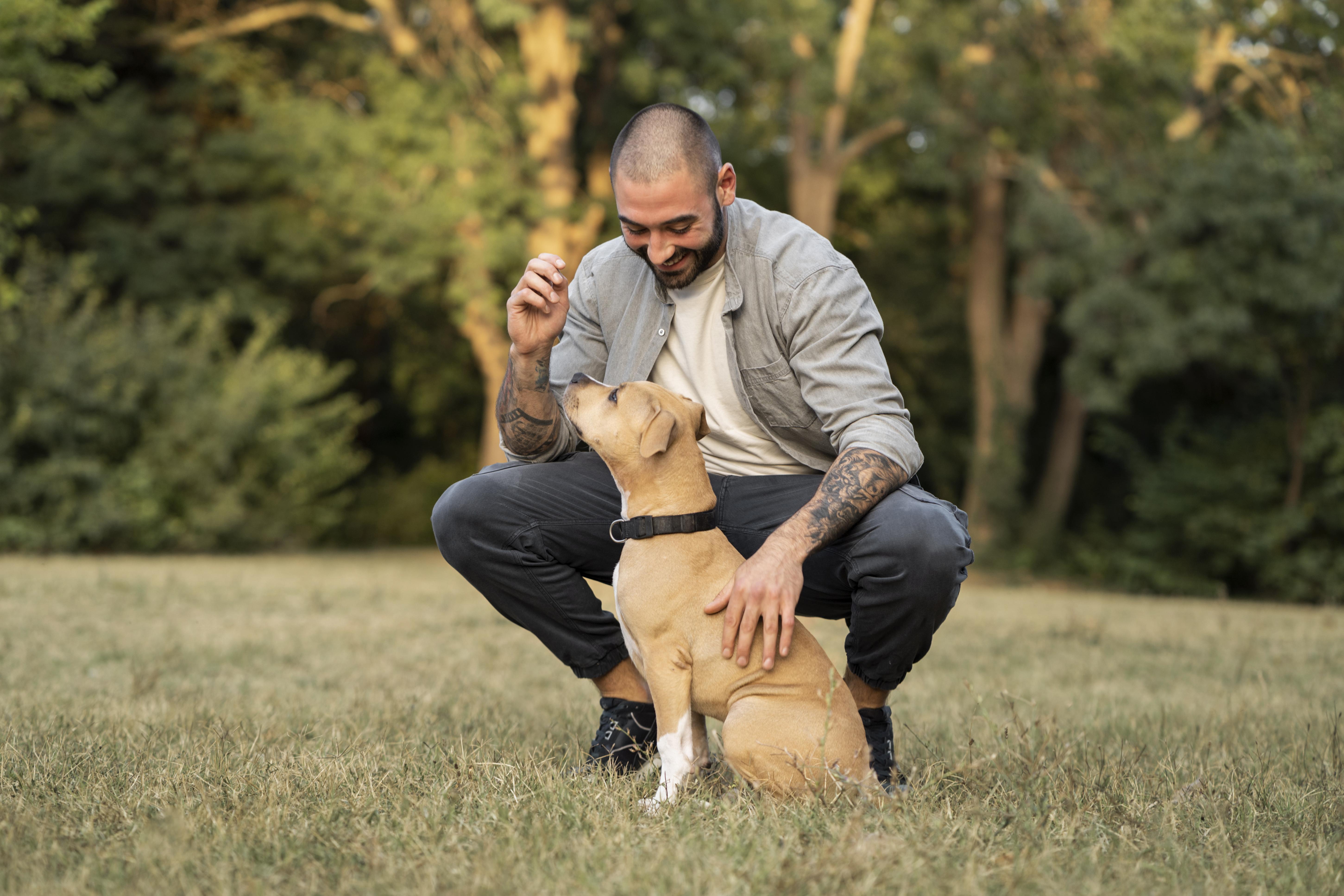 L'adoption d'un animal senior : une aventure remplie d'amour et de surprises ! 🐶🐱