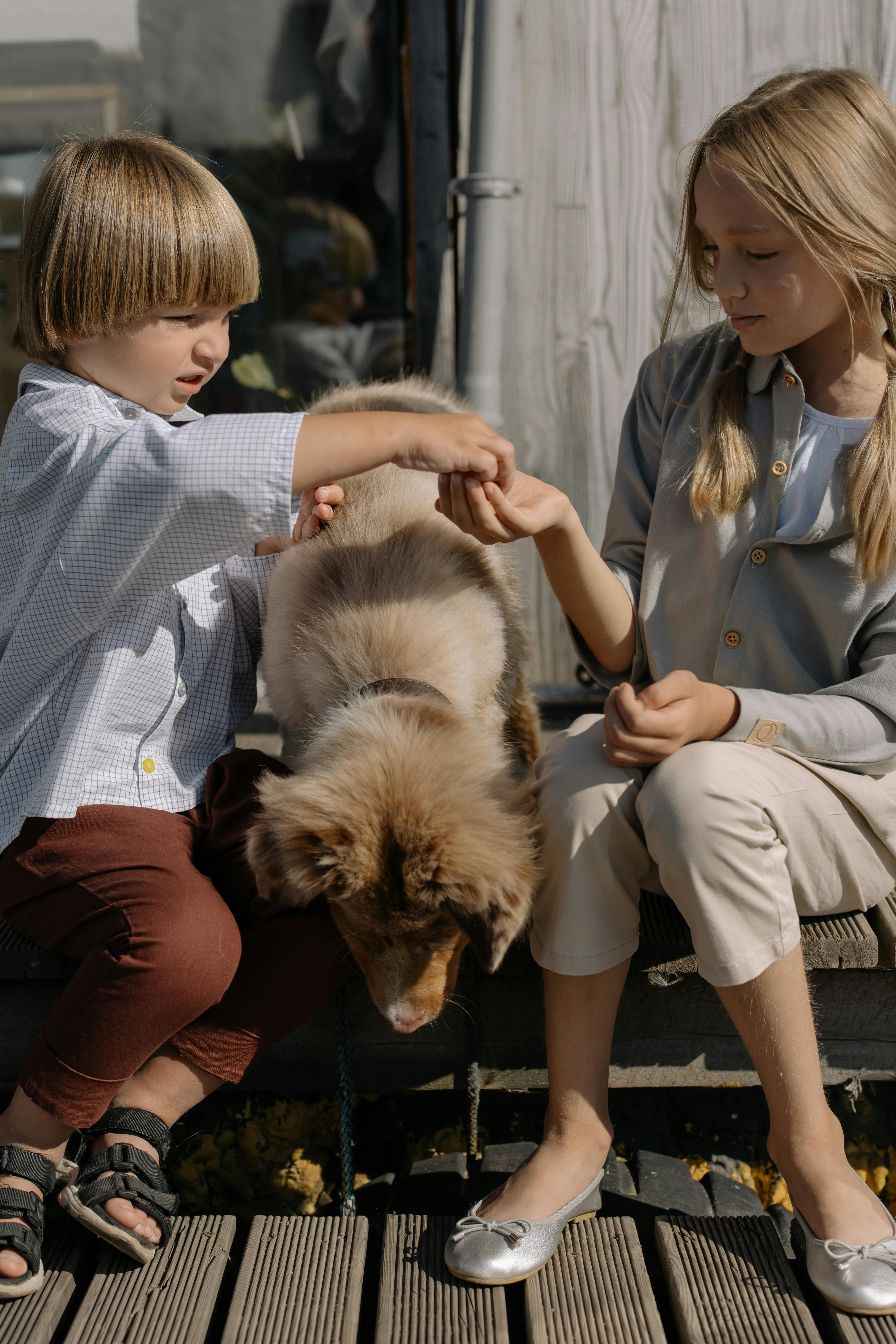 Faut-il adopter un animal si on vit en appartement ? Ce qu’il faut savoir 🏡🐶🐱