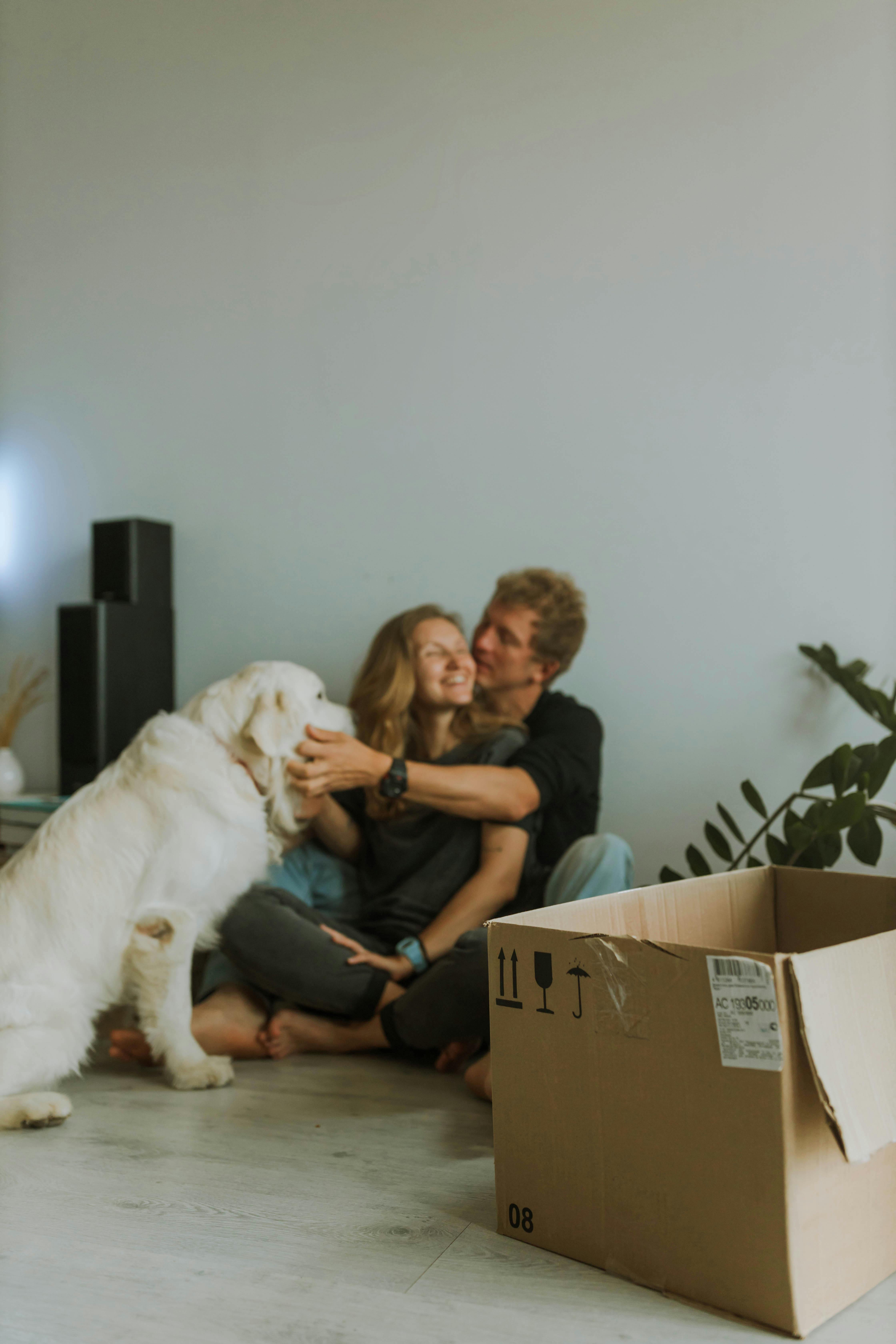 📦 Déménagement avec un animal : comment réduire son stress ? 🐾