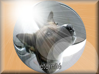 L'Arche d'Eternité
