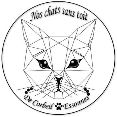 Nos chats sans toit