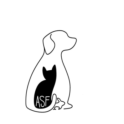 ANIMAUX SANS FOYER
