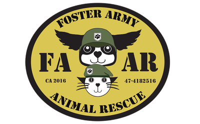 Foster Army Animal Rescue